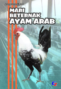 Image of MARI BERTERNAK AYAM ARAB